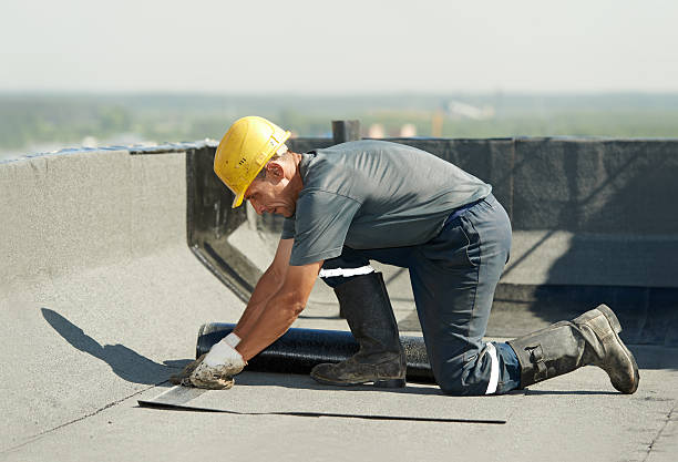 Best Commercial Insulation in Varnville, SC